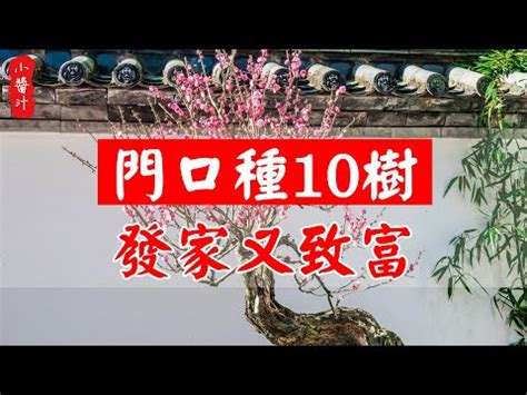 蘭花放門口|10種旺財門口植物